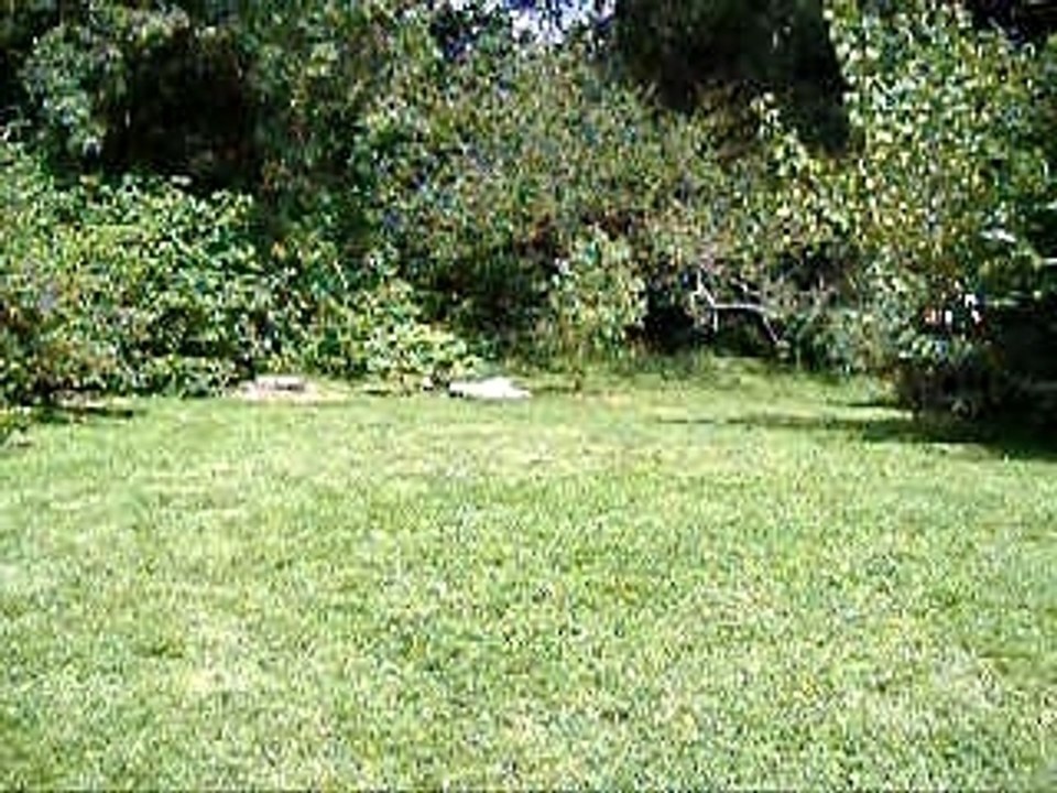 rabbi jacob Chorégraphie