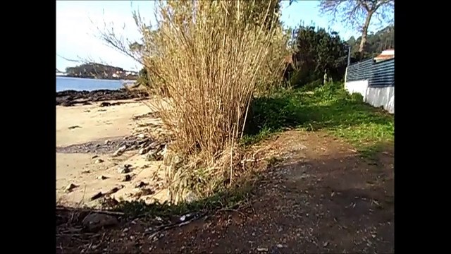 PLAYA DA RIVEIRIÑA, POBRA DO CARAMIÑAL
