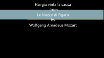 Hai gia vinta la causa.mp3 youtube, Mozart, Le Nozze di Figaro, Jonas Bergström