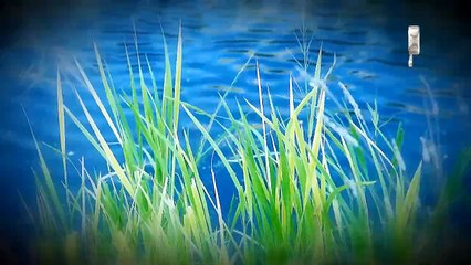 Стриптиз (Танцует осень)- Стас Михайлов (2015)