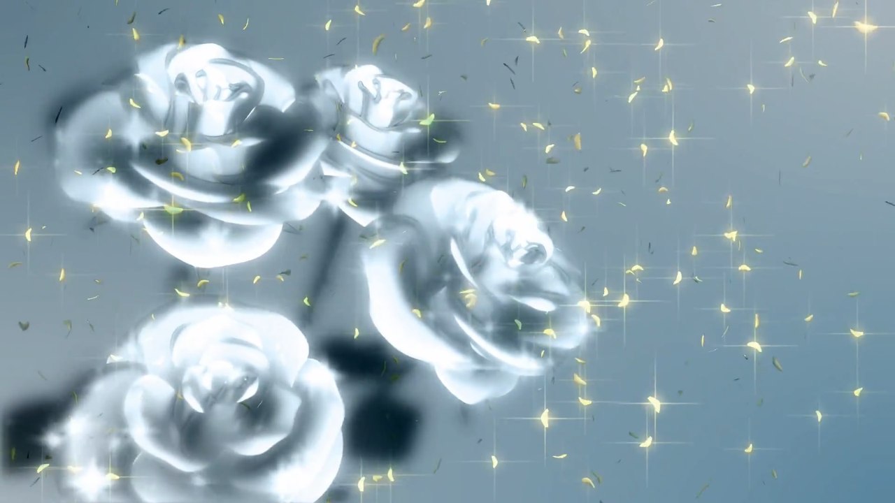 Video Background HD - Wedding HD