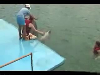 Дельфин насилует человека!