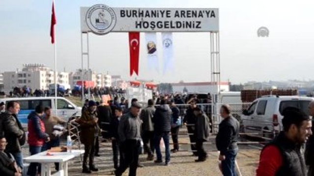 Ağız Bağcılığı, Zamana Meydan Okuyor