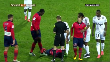Carton Rouge Ligue 1 25ème journée
