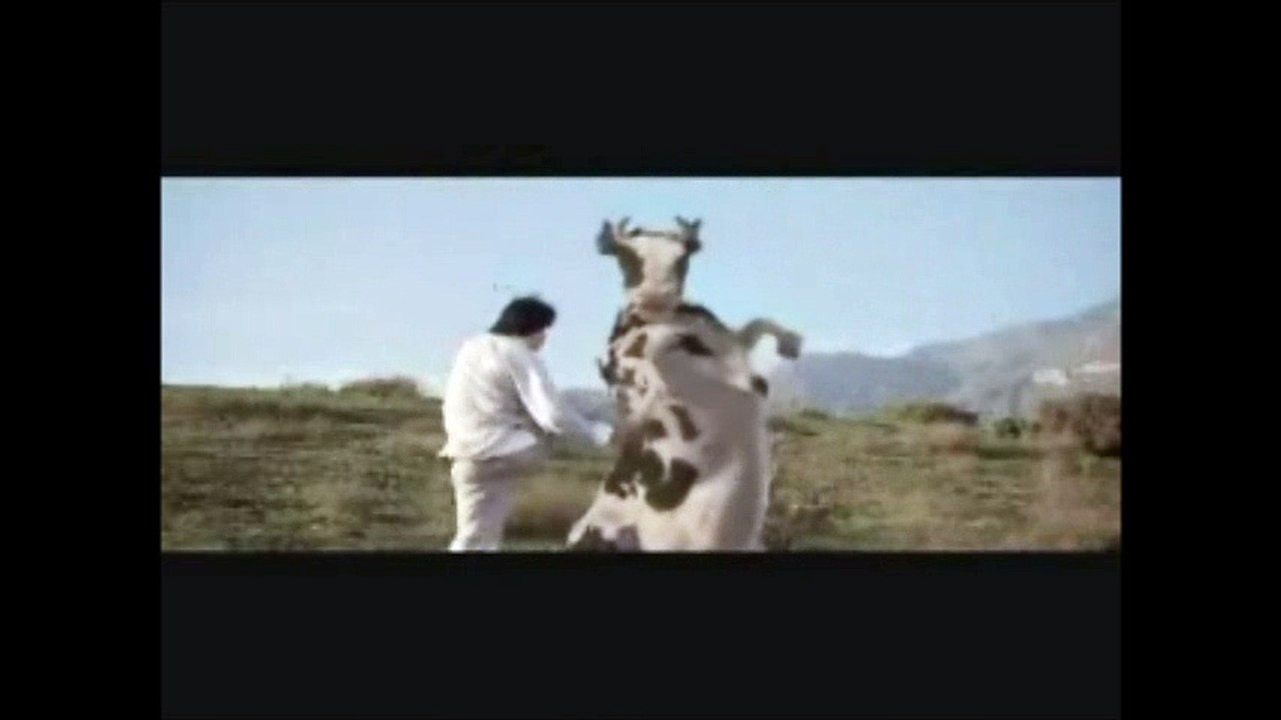 (MOVIES-FUNNY CLIPS) Kung fu Humor Matrix