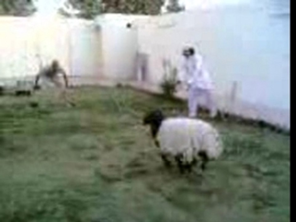 Ronaldo(1)