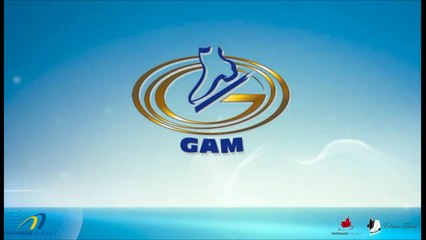 Synchro2016- Colisée. Évé. 14 (50)