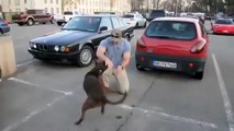 Собака встречает хозяина после армии!