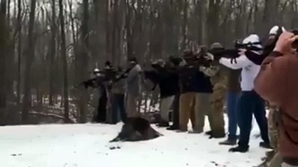 How to cut a tree american style.. With guns