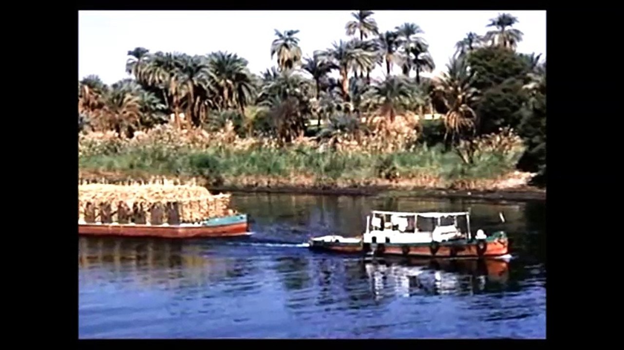 احمد منيب  ماشي غريب