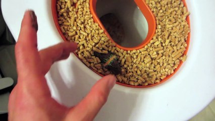 APRIL FOOLS POOP PRANK