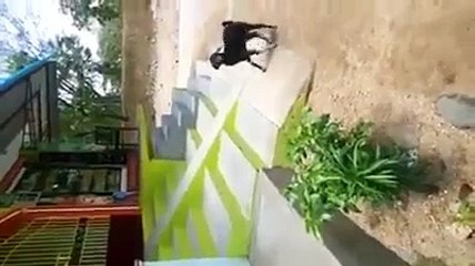 Funny , goats playing (FULL HD)