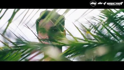 DJ SAVA feat. HEVITO - Bailando