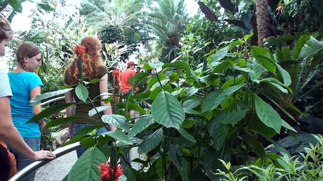 The Niagara Parks Butterfly Conservatory