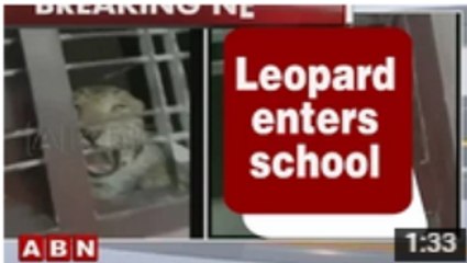 Latest News - Leopard enters school premises in Karnataka, 3 injured (23-07-2015)