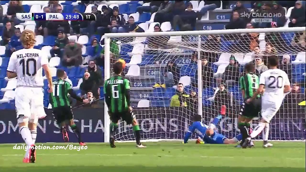 All Goals HD - Sassuolo 2-2 Palermo - 07-02-2016