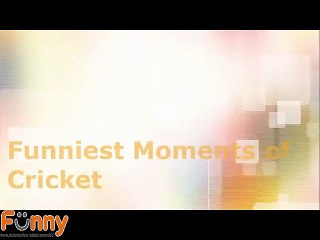 Most Funniest Moments -- In the History of Cricket Ever - 2016 part (1)