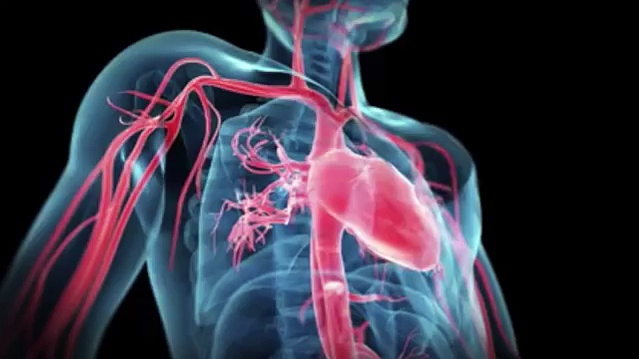 Congestive Heart Failure clearly explained  (360p)
