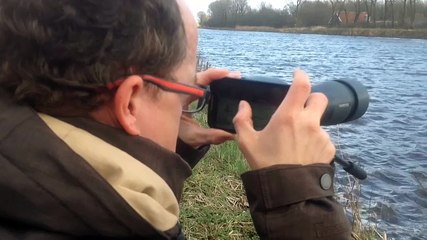 Vogelaars leven zich uit bij Noordhorn - RTV Noord