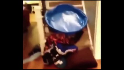 İlginç! 6 saniyelik komik bir video!