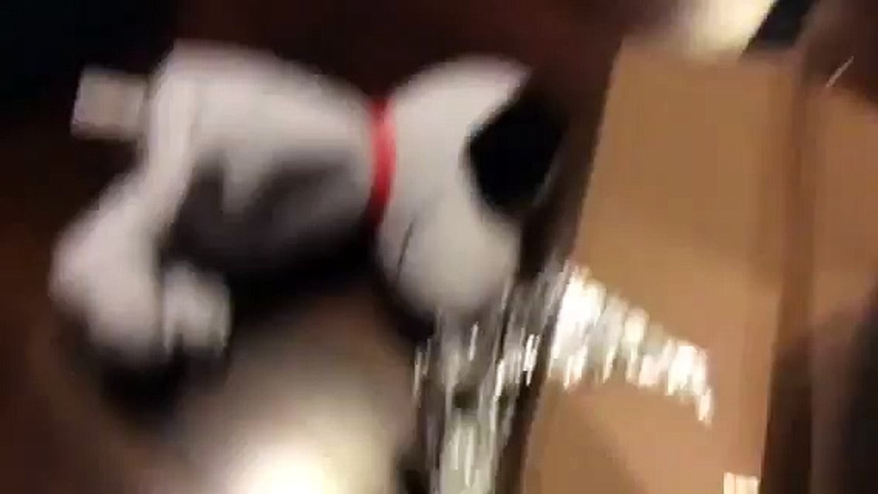 The angry guys movie teaser trailer(angry birds movie parody) gender NR hd director:Stefen Bulunmaz (Comic FULL HD 720P)