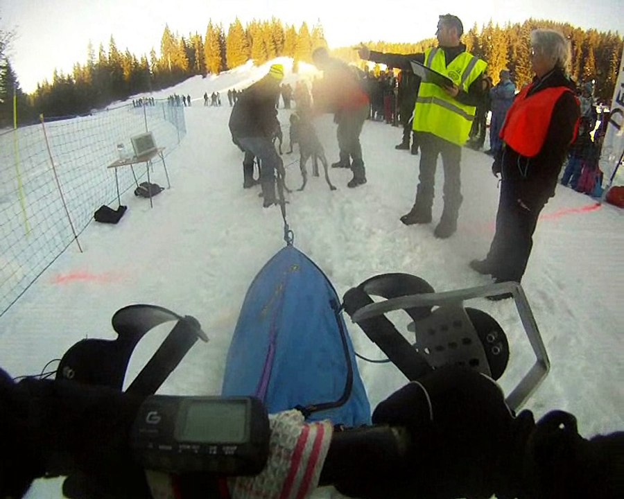 1ère course en traineau