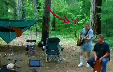 Rabid Bat Attacks Man Playing Guitar In The Woods