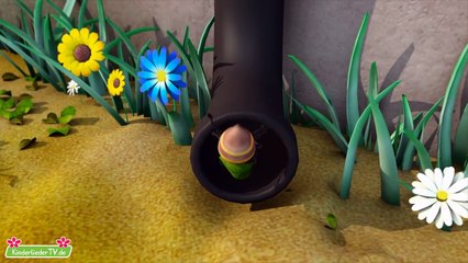 Eine Kleine Spinne Kinderlieder TV.de Itsy Bitsy Spider in German