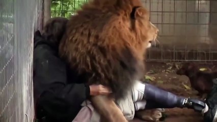Котейки бывают разные)))