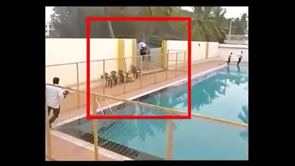 Leopar Okula Girdi Olanlar Oldu