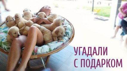 УГАДАЛИ С ПОДАРКОМ ))) СМОТРЕТЬ ВСЕМ