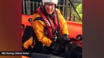 Dog Rescued A Mile Off The Coast After Missing For Four Days