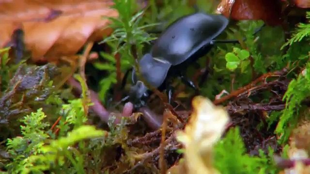 Уникальный фильм! Чернобыль. Жизнь в смертельной зоне. смотреть онлайн в HD бесплатно » Смотреть online новинки фильмов и видео в хорошем качестве бесплатно.