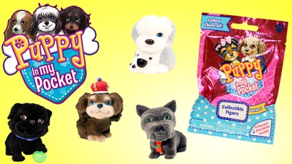 Puppy In My Pocket Blind Bag Opening - Series 1 - Awesome Toys TV