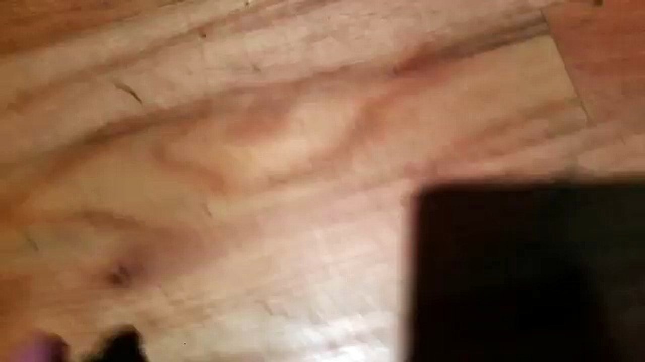 Corporation for Public Broadcasting 1991 (FULL HD)