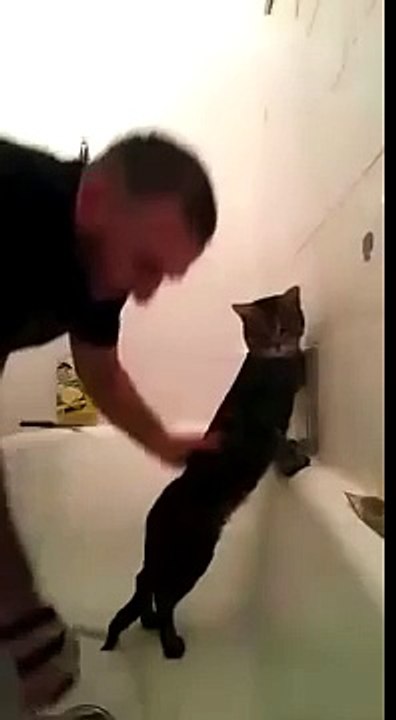 Un chat très patient pendant sa douche... Du jamais vu!