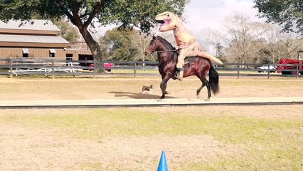 Crazy T-Rex rides a Horse playing with giant Football Ball