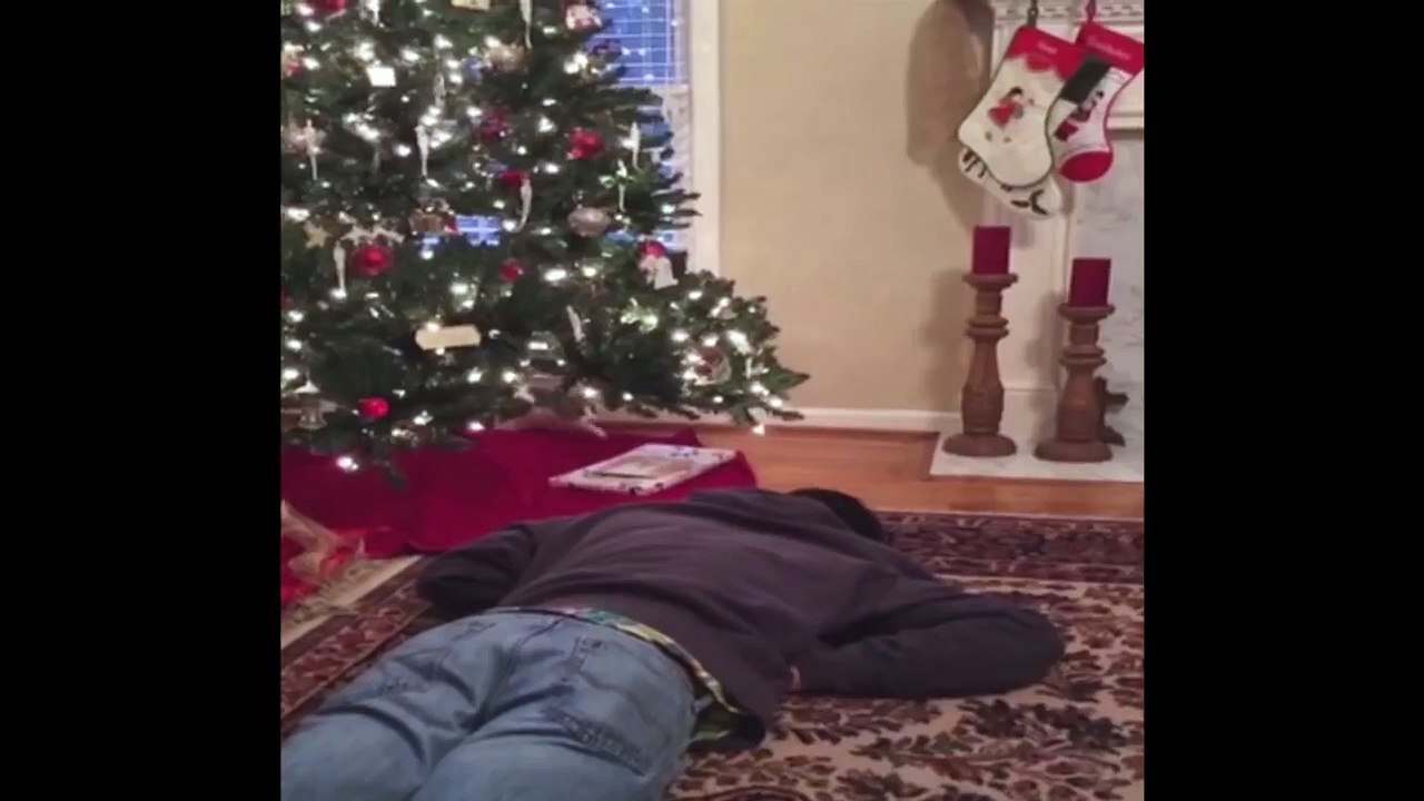 Christmas Cat Attacks Grandpa