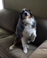 That one friend who laughs at all of your jokes...