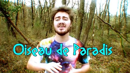 ANIMAUX ÉTRANGES #2 -   LE PARADISIER SUPERBE