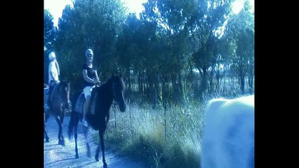 Dav Pott - This Dj is so funky - video