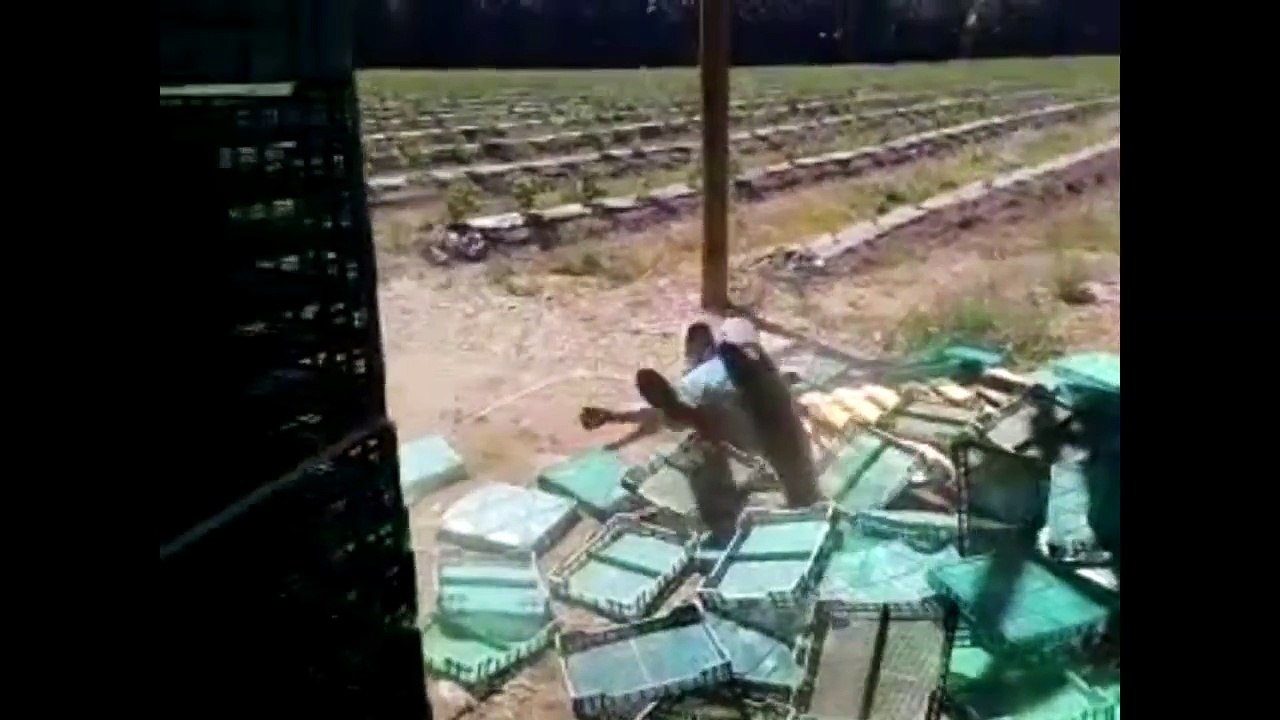the Best Fails of April 2015 - Part 1 Fail Compilation