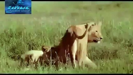 OnYukleme 56b7ca8d6ec25