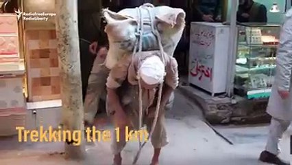 هل تعتقد أن عملك شاق شاهد الفيديو أو قول الحمد لله