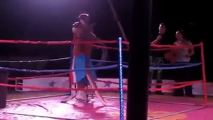 CANGURO VS MUJER PELEA DE BOXEO (360p)