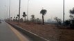 Billion Tree Tsunami: Plantation along Motorway in Peshawar
