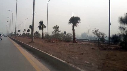 Billion Tree Tsunami: Plantation along Motorway in Peshawar