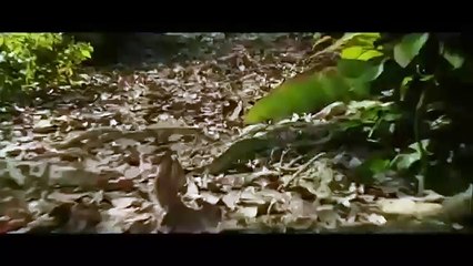 El Libro de la Selva Super Bowl TV Spot (2016) Disney Live-Action
