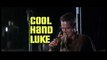 Cool Hand Luke (1967) - Official Trailer - Paul Newman, George Kennedy Movie HD