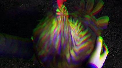 Chicken Speaks   DRAGONS  RACE TO THE EDGE